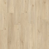 Galtymore Oak 86237